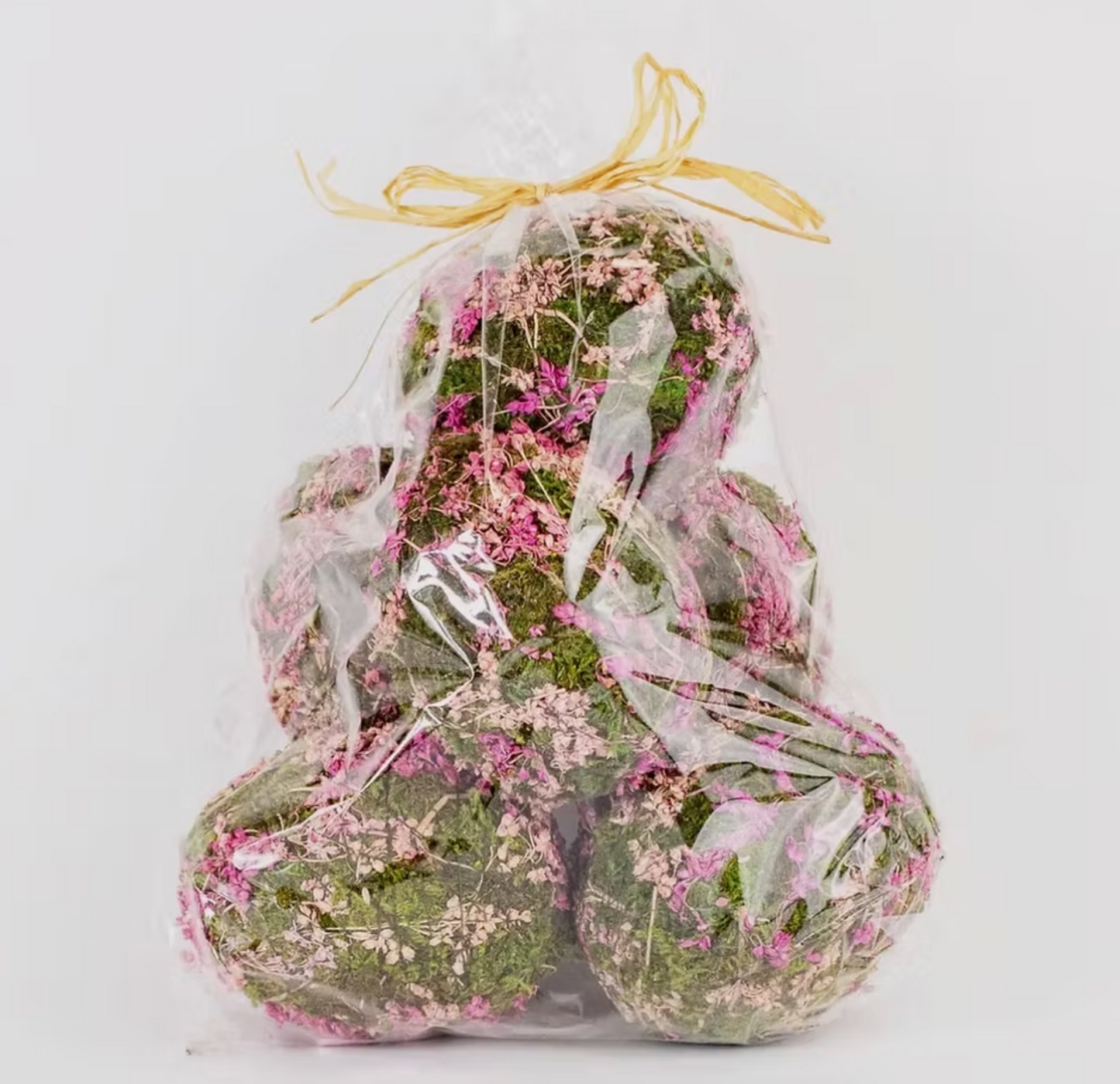 Eva Moss Eggs