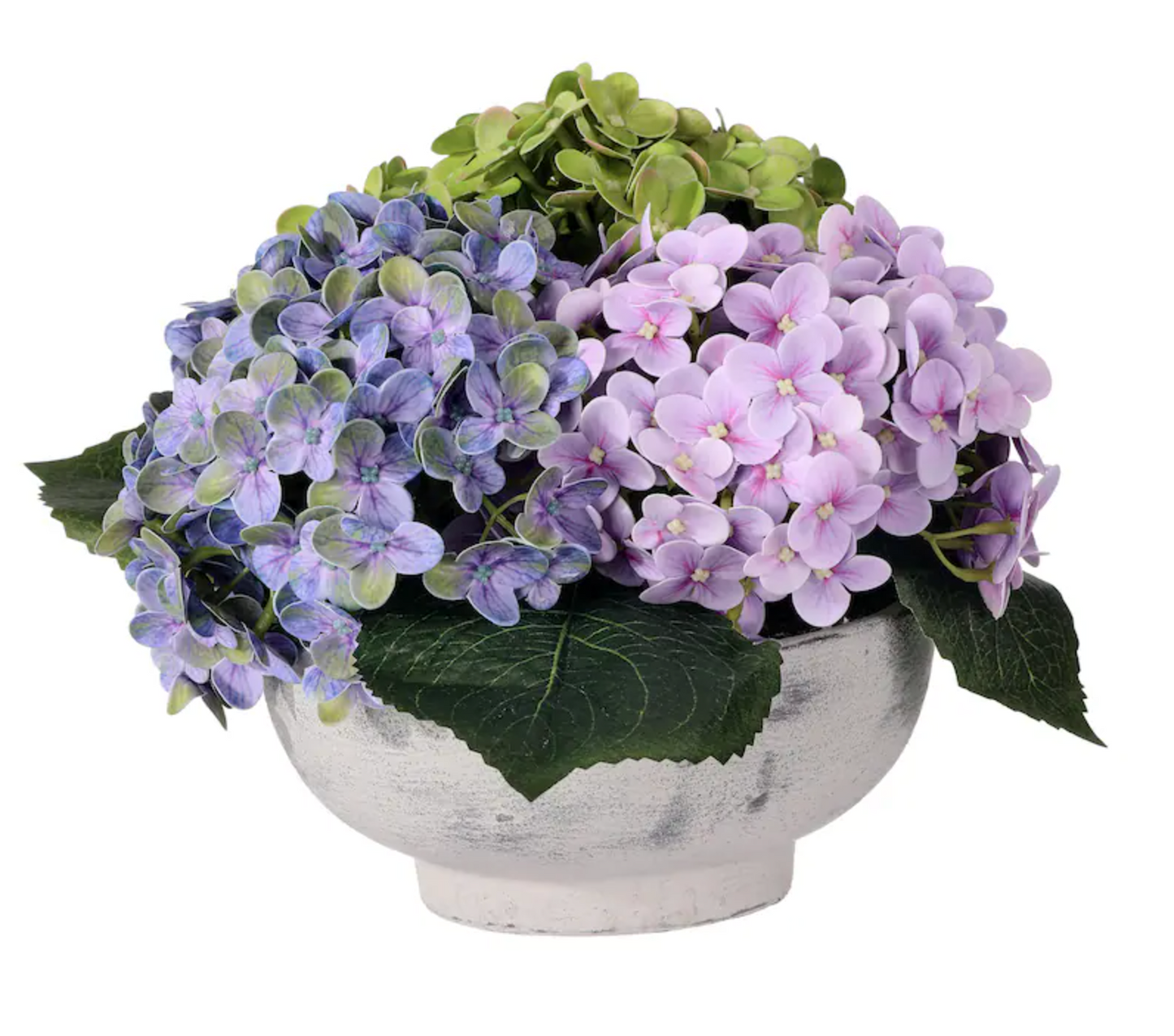 Hydrangea Mound