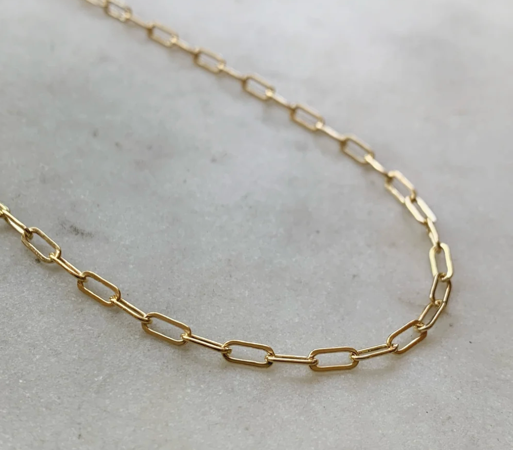 Alligator Pendant/Inherited Chain
