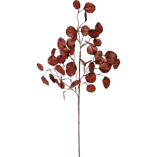 Burgundy Silver Dollar Eucalyptus Stem