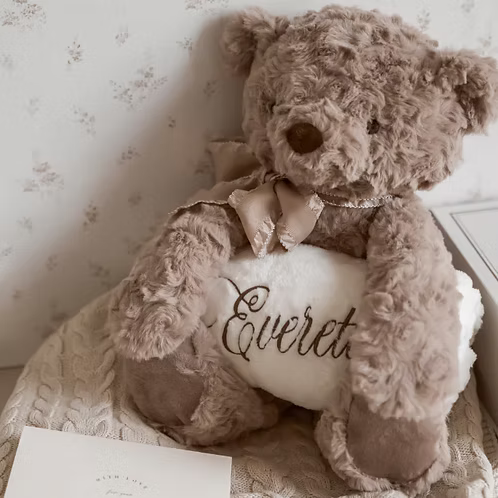 Bear Bedtime Buddy