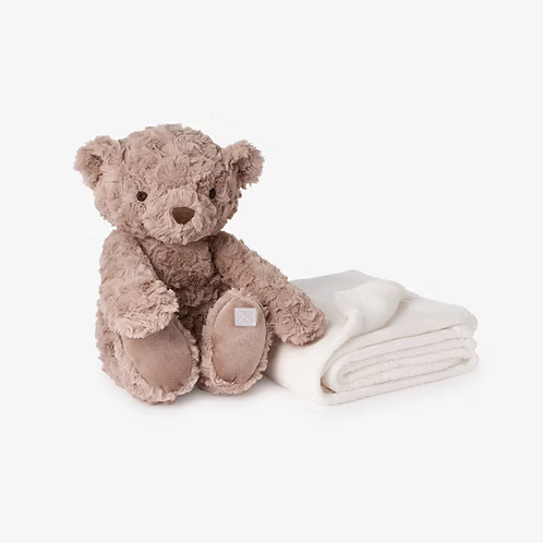Bear Bedtime Buddy