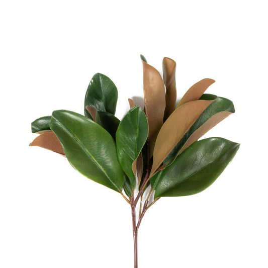 Magnolia Leaf Spray