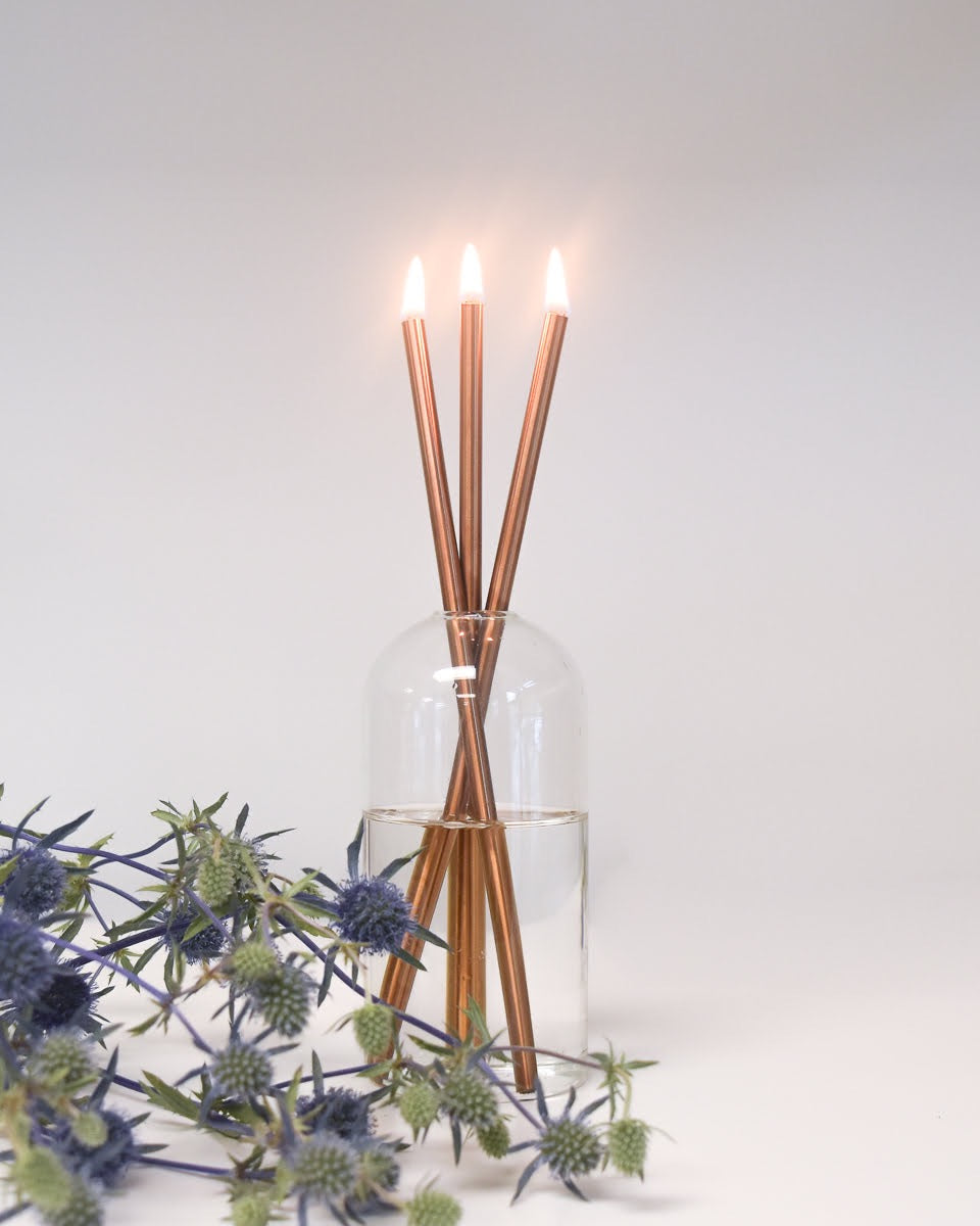 Copper Everlasting Candlesticks