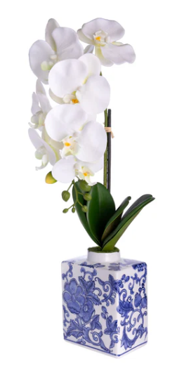 22" Orchid in blue and white vase