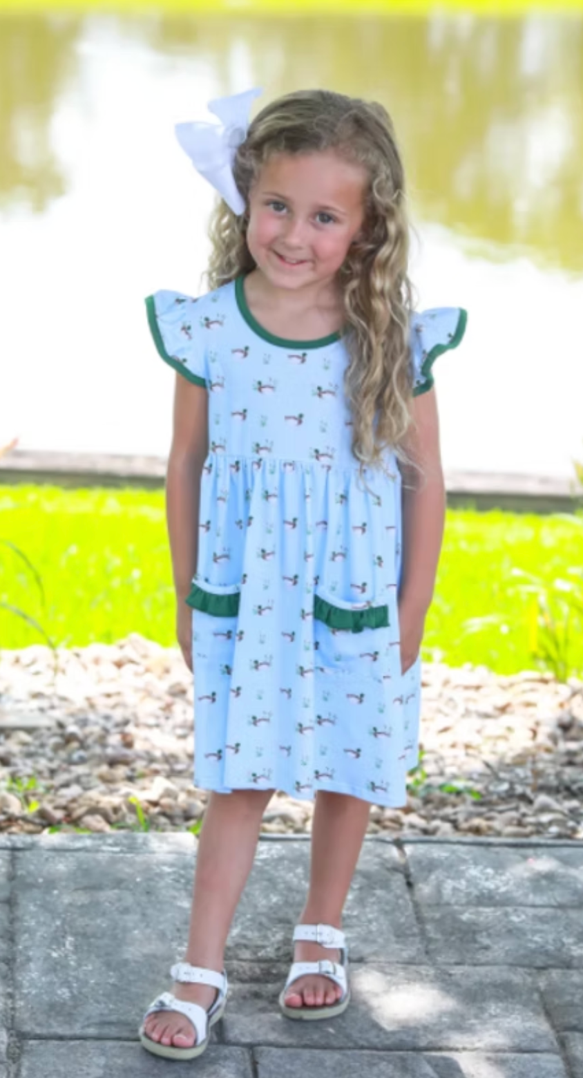 Ducks in a Row Dress