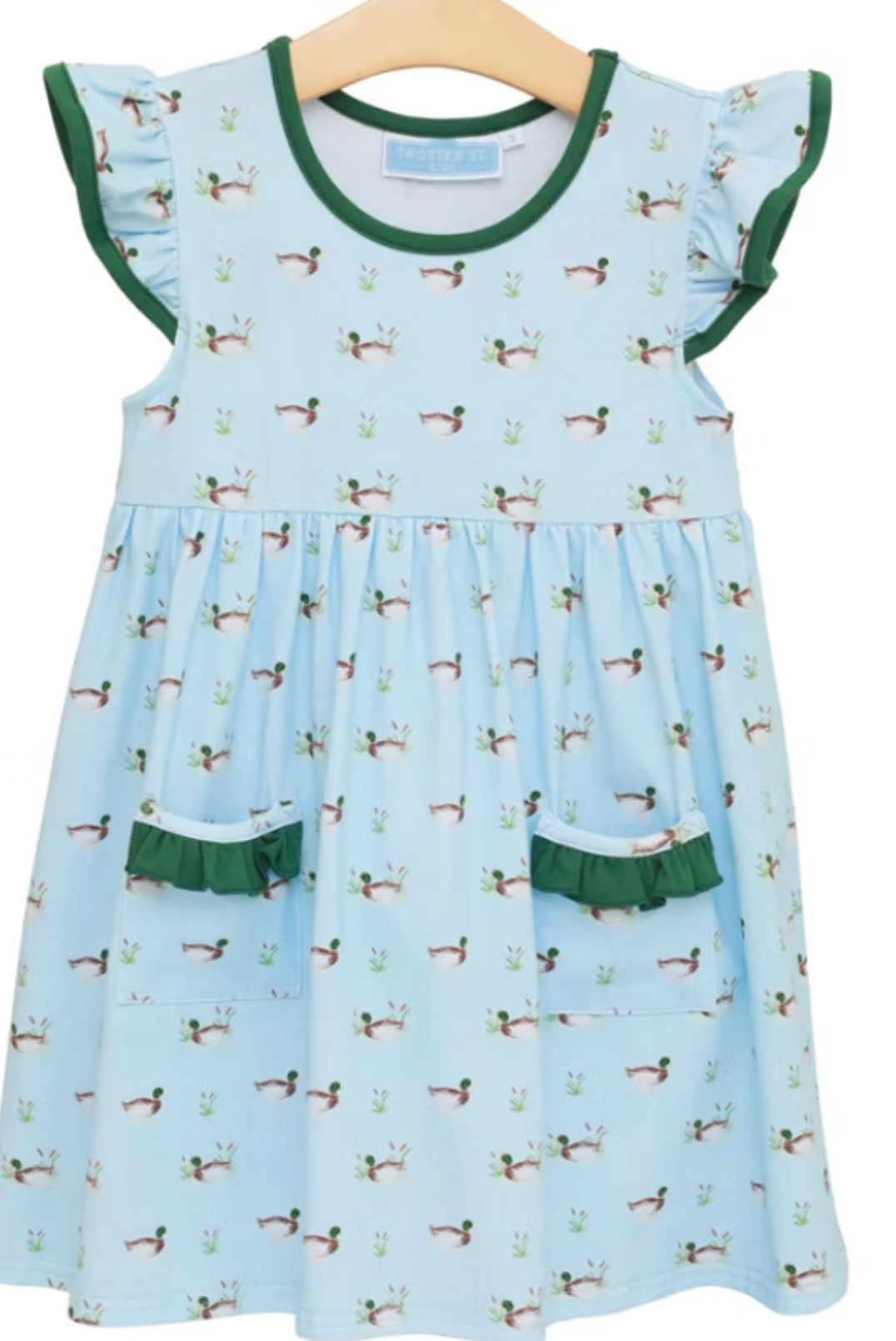 Ducks in a Row Dress
