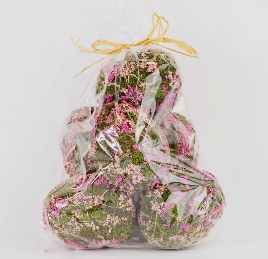 Eva Moss Eggs