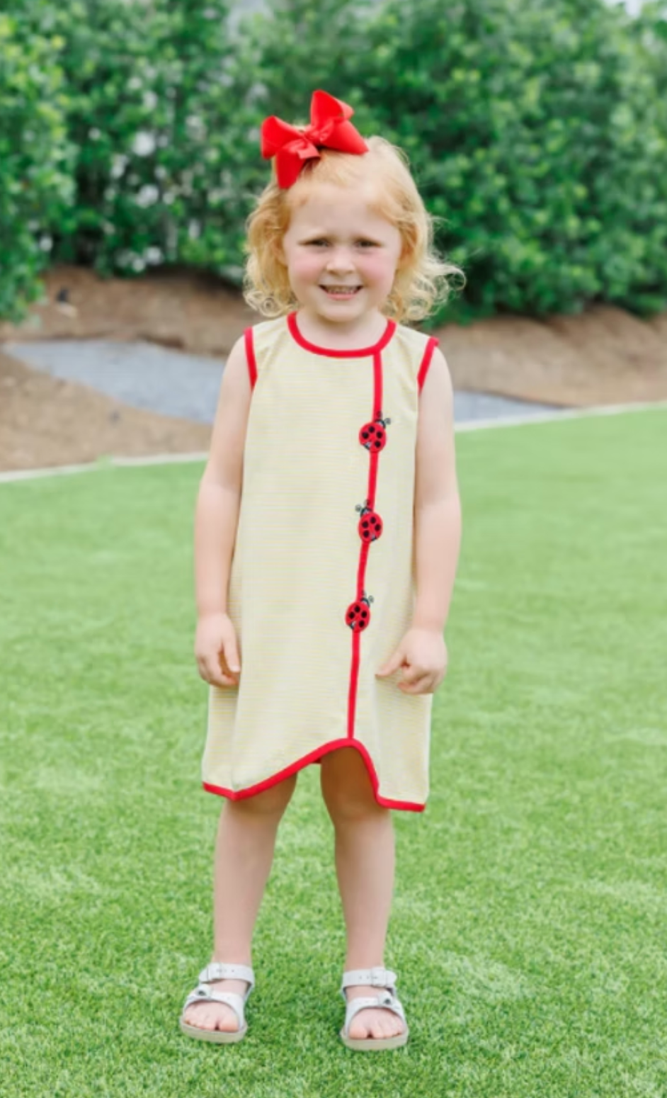 Lovely Ladybugs Dress
