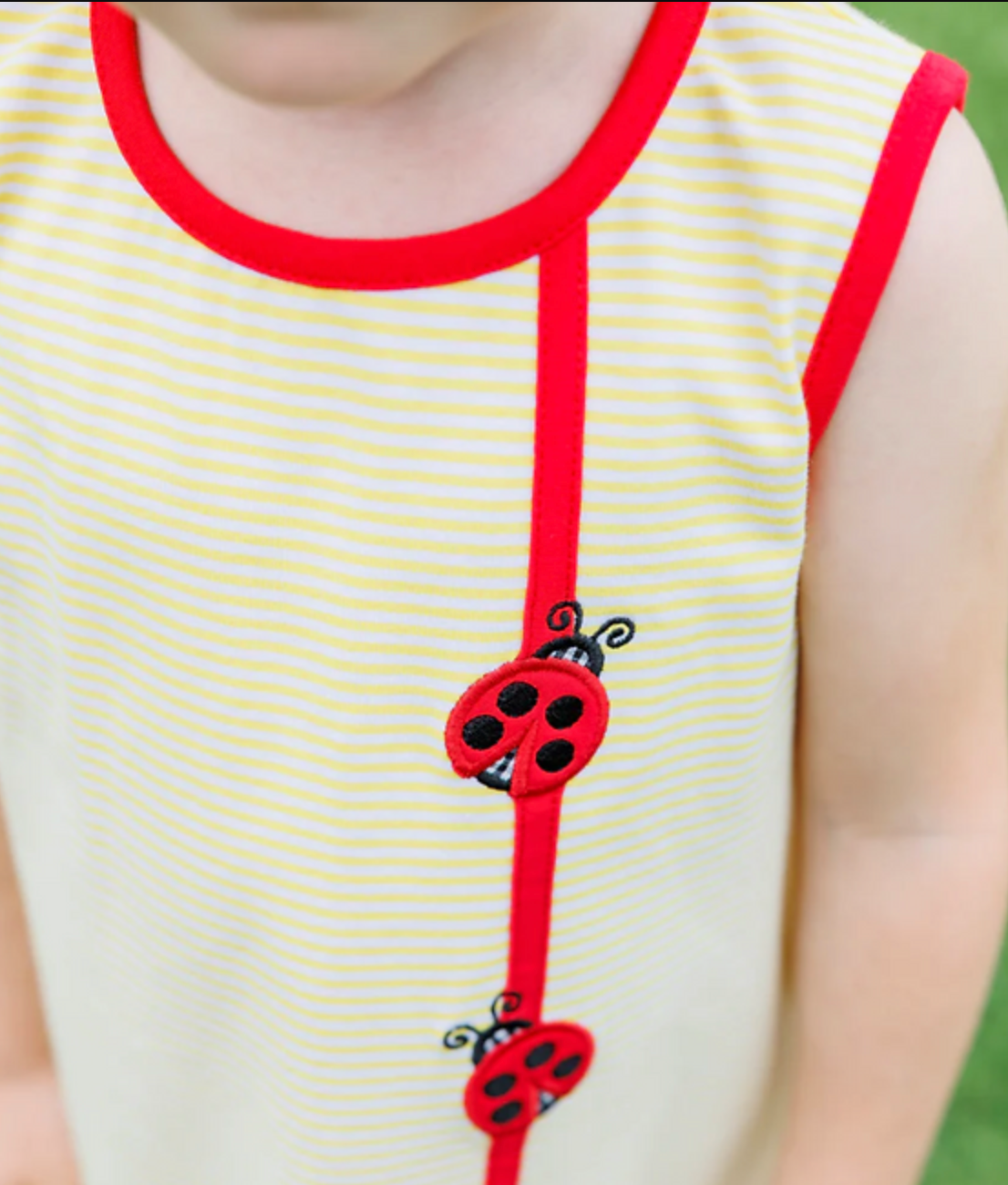 Lovely Ladybugs Dress