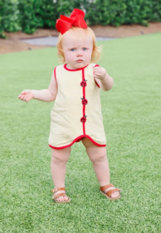 Lovely Ladybugs Diaper Set
