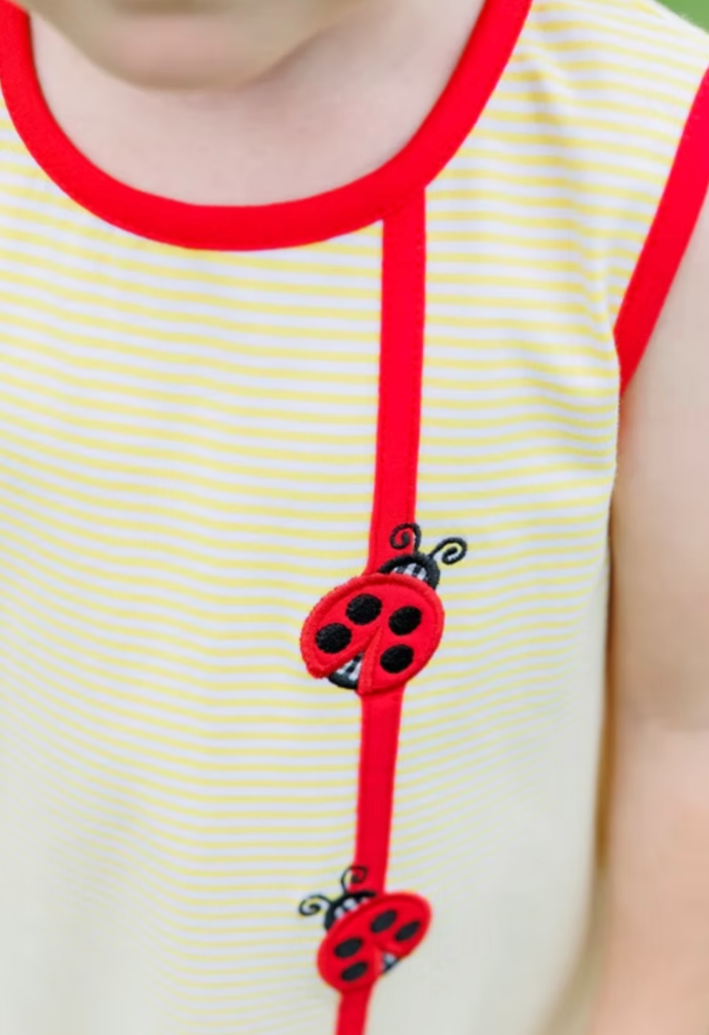 Lovely Ladybugs Diaper Set