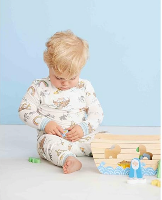 Noah's Ark Shape Sorter