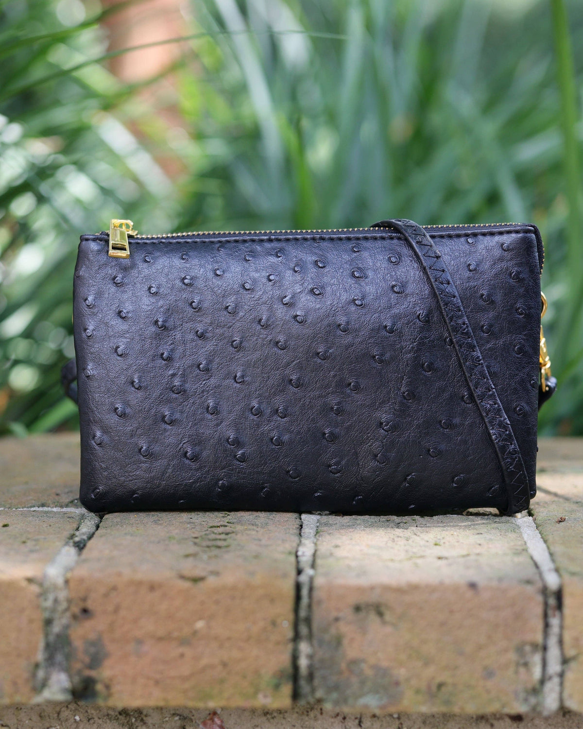 Caroline Hill - Liz Crossbody Black