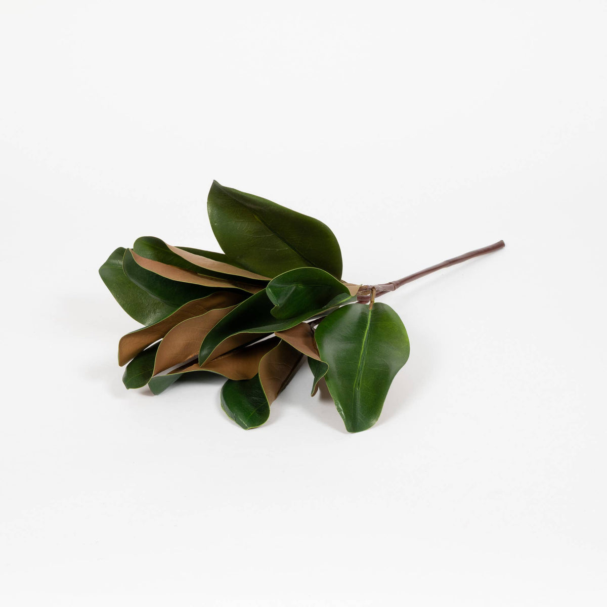 Magnolia Leaf Spray